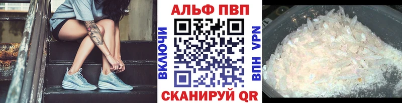 Альфа ПВП СК Гуково