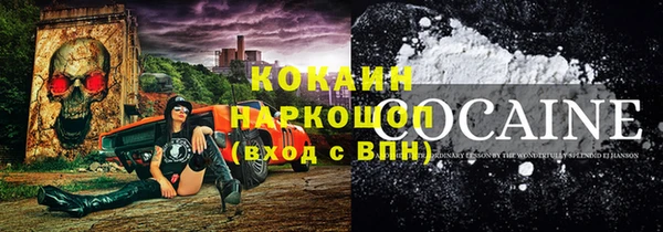 прущие грибы Горно-Алтайск