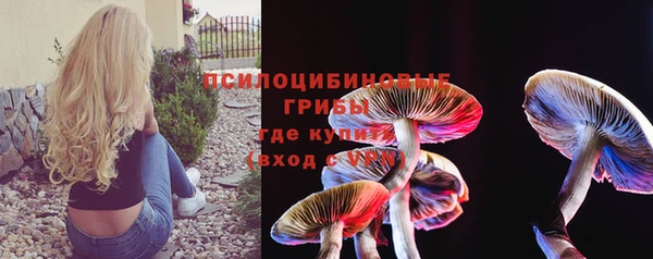 мяу мяу мука Ладушкин