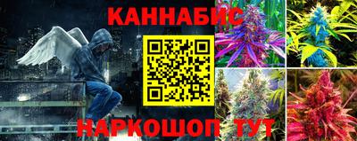 гидра Волгодонск