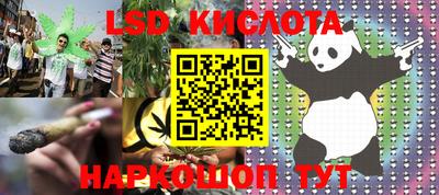 молекула духа Будённовск