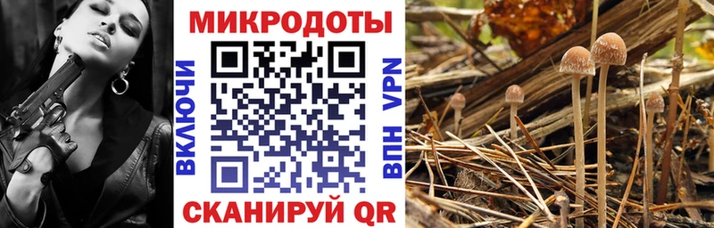 гидра ONION  дарк нет состав  Псилоцибиновые грибы мицелий  Гуково 