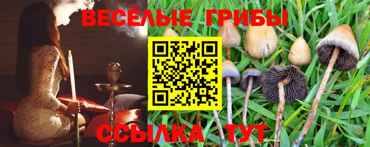 Псилоцибиновые грибы MAGIC MUSHROOMS Гуково