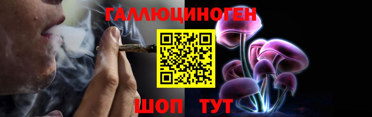 Галлюциногенные грибы ЛСД  Галлюциногенные грибы ЛСД  Гуково  купить наркоту  Вход с VPN 