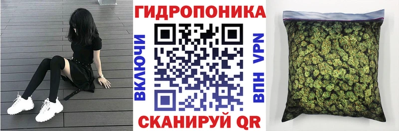 Шишки марихуана OG Kush  Гуково 